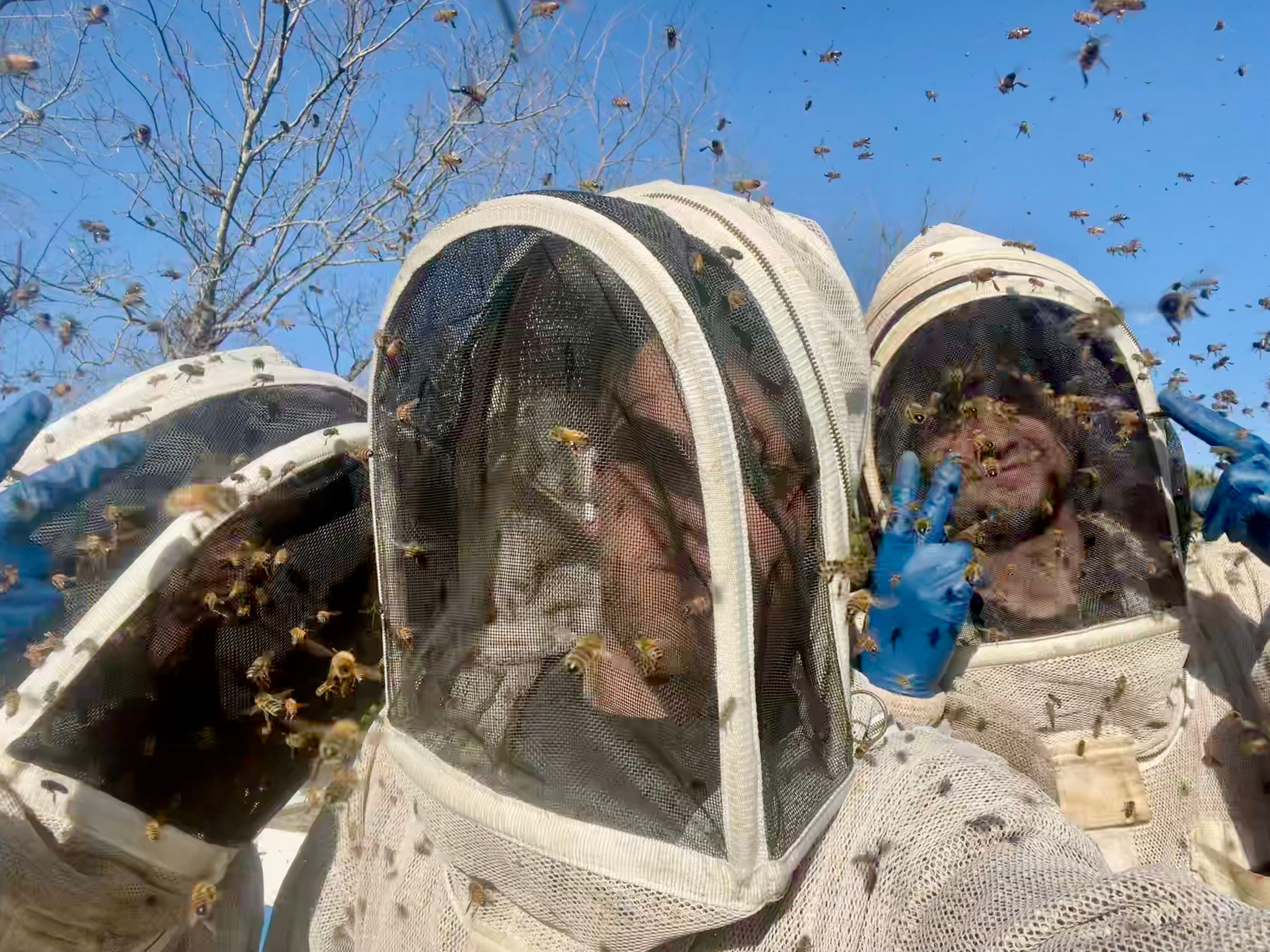Timber Creek Bees keepers together in the North Texas honey yard